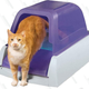 You Can Get PetSafe Automatic Self-Cleaning Litter Boxes From $99 on Amazon, Glory Hallelujah